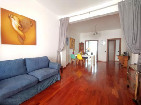 Cipro Home